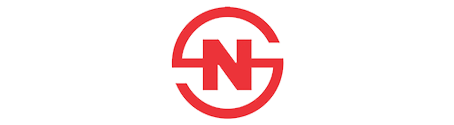 Nepal Standard Logo